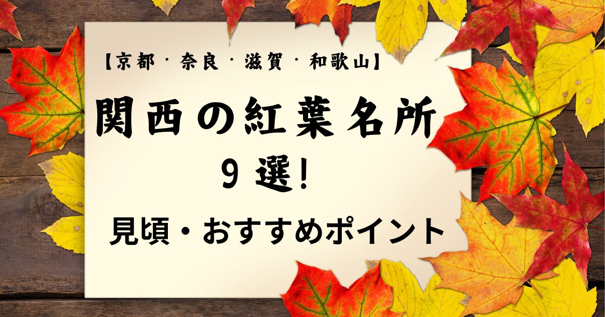 紅葉のきれいな写真