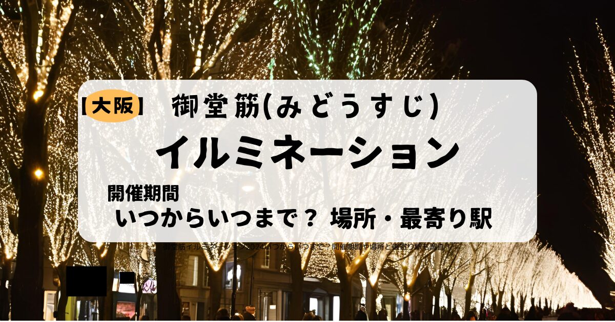 クリスマスの街路樹のイルミネーションの写真