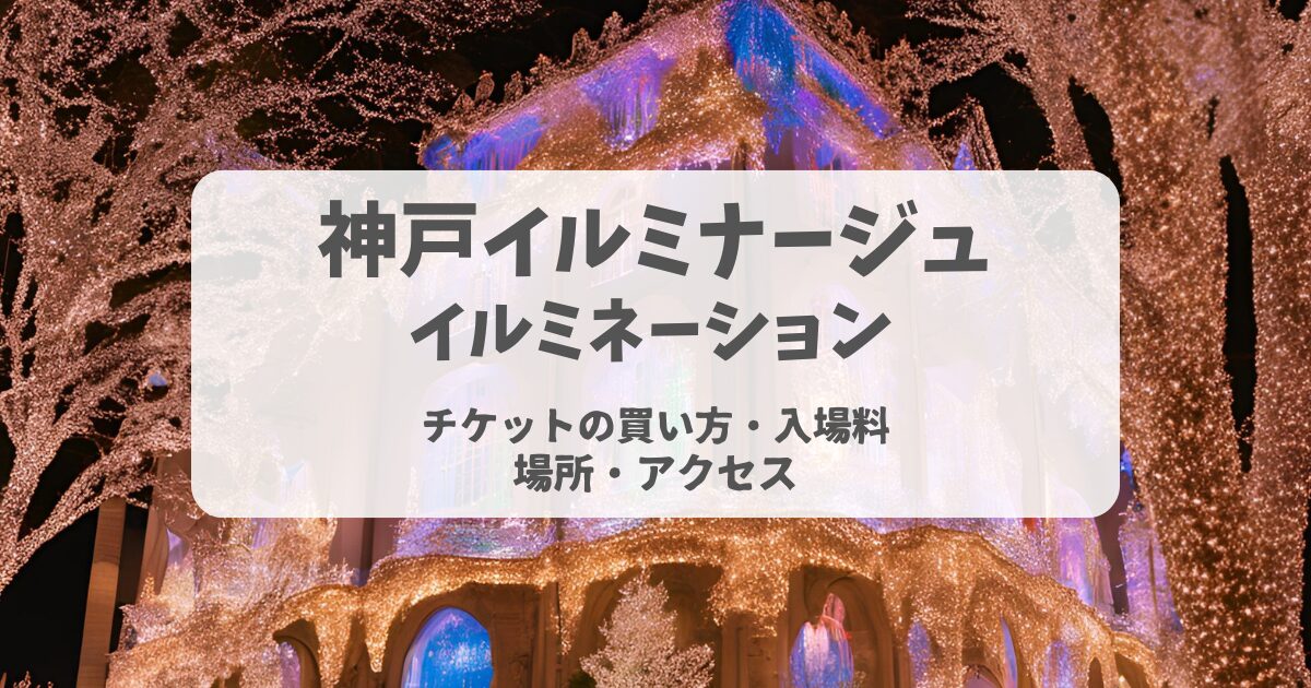 お城のような建物にクリスマスのキラキラな電飾で飾られたきれいな写真