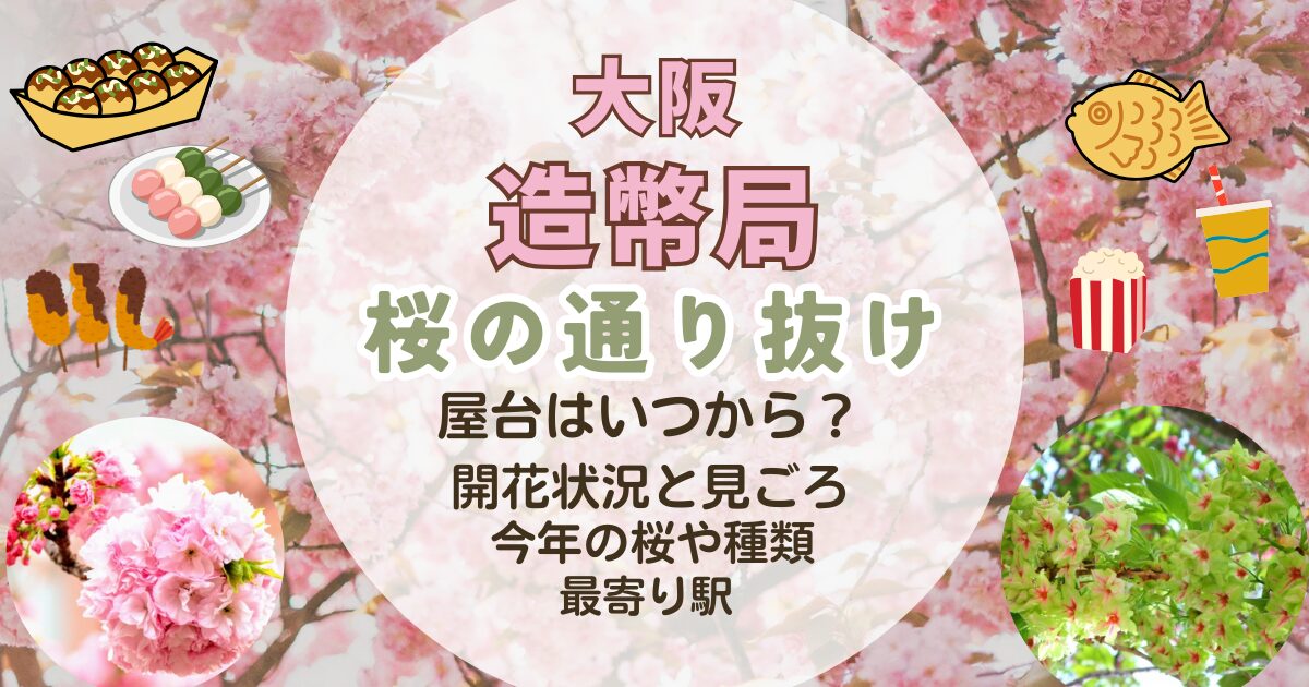 造幣局の桜の通り抜けの桜のきれいな写真