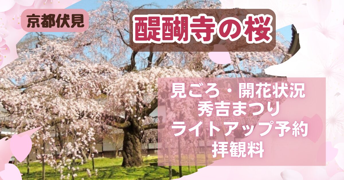 京都醍醐寺のしだれ桜の写真