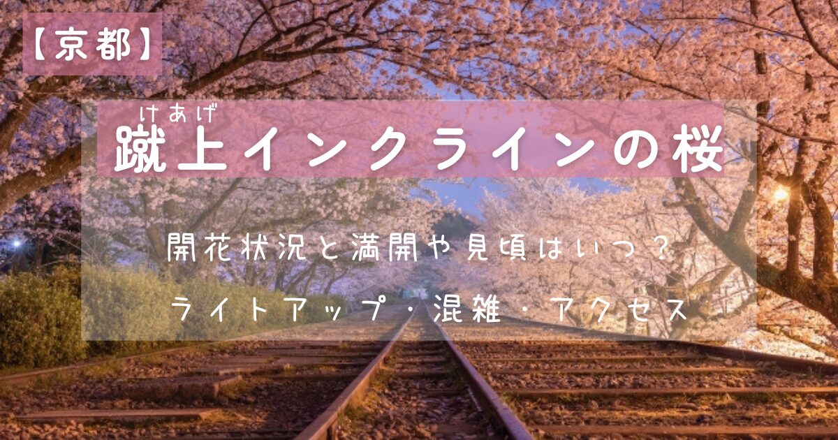 蹴上インクラインの桜の写真